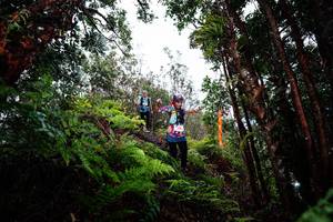 BIB: 
                            <button type="button" onclick="openModal(26204819)" class="btn btn-primary btn-sm float-right btn-popup" data-toggle="modal" data-target=".modal-high-quality">
                        <i class="fas fa-shopping-cart"></i> Add to Cart
                    </button>
                                            <button type="button" onclick="isThisMe(26204819, true)" class="btn btn-success btn-sm float-right btn-popup btn-isme hidden" data-toggle="tooltip" data-placement="bottom" title="นี่คือรูปของคุณใช่ไหม คลิกที่นี่เพื่อเอาเข้าอัลบั้ม">
                        <i class="fas fa-plus"></i> Add to album
                    </button>
                    <button type="button" onclick="isThisMe(26204819, false)" class="btn btn-warning btn-sm float-right btn-popup btn-isnotme hidden">
                        <i class="fas fa-ban"></i> Remove from album
                    </button>